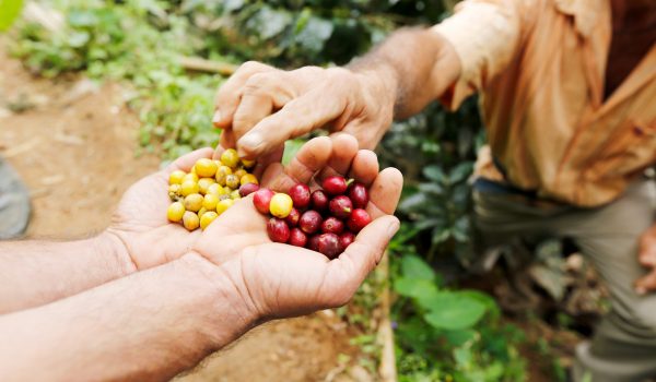 Financiële resultaten Q3 2018