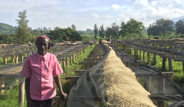 The FAF diversifies its portfolio in DR Congo