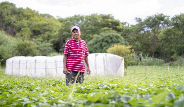 Unique Incofin initiative protects nearly eighteen thousand Nicaraguan coffee and grain farmers from the impact of climate change