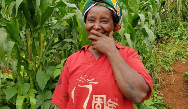 Juhudi Kilimo, Kenia