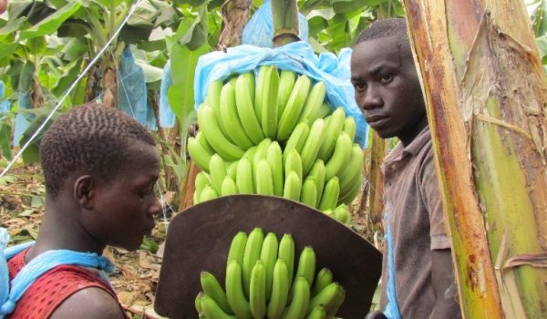 2018: a successful year for Incofin Microfinance Fund Technical Assistance