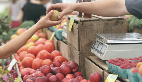 Résultats semestriels d’Incofin Microfinance Fund
