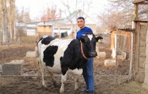 Investment by Incofin cvso lets Kyrgyz entrepreneurs grow